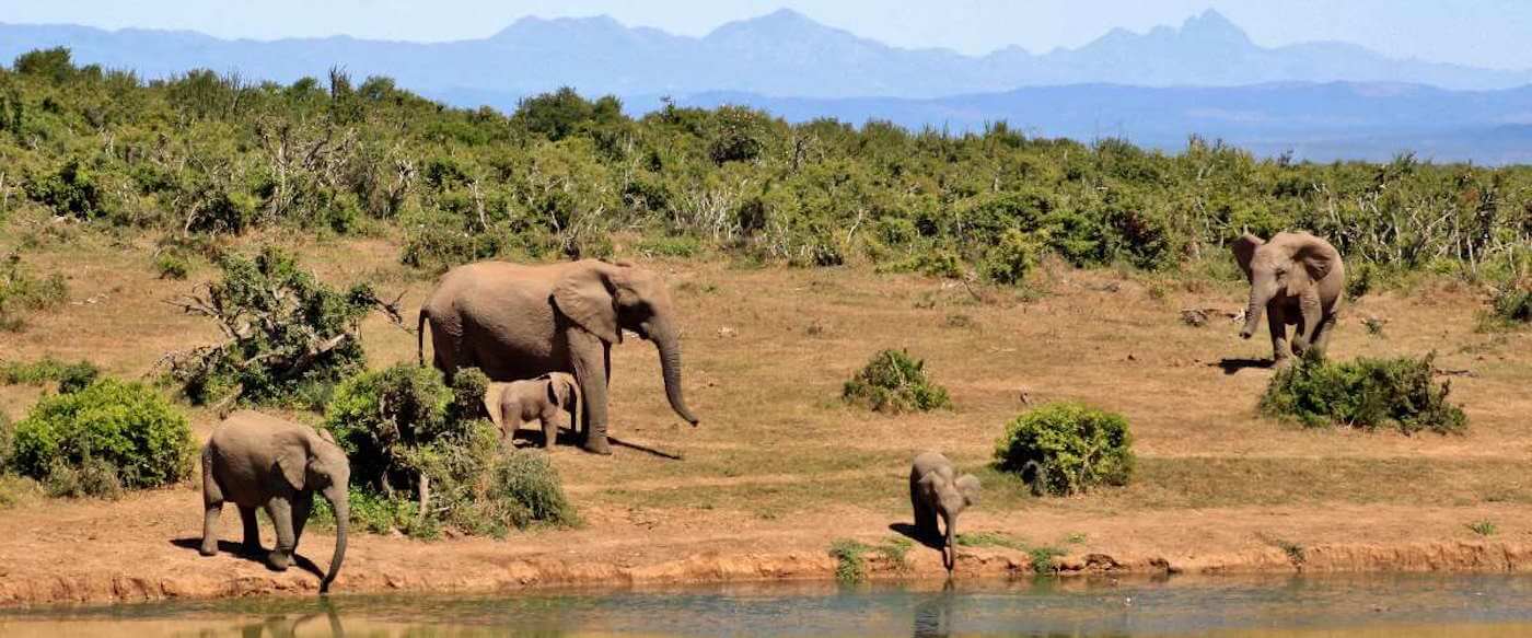 Tanzania Mid Range tours