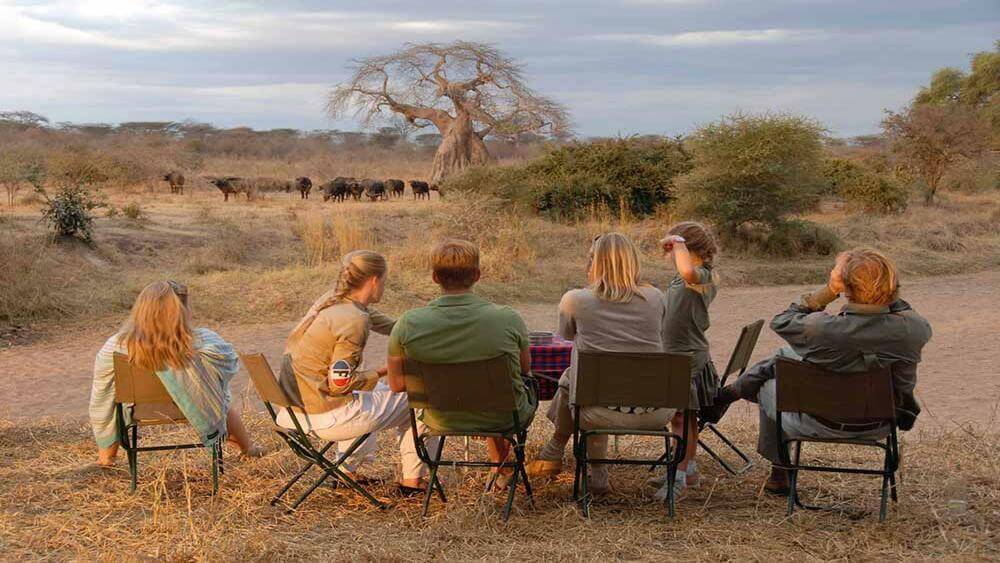 a group of people sitting in chairs looking at animals