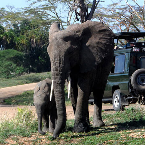 Day trips in Tanzania 