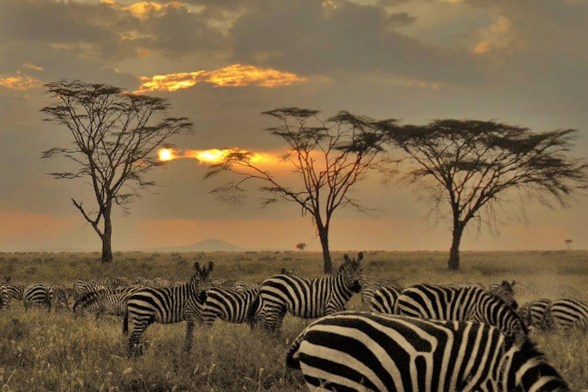 10 Incredible Things You Must Do While in Tanzania