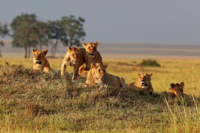 10 Must Visit National Parks in Tanzania for Nature Enthusiasts