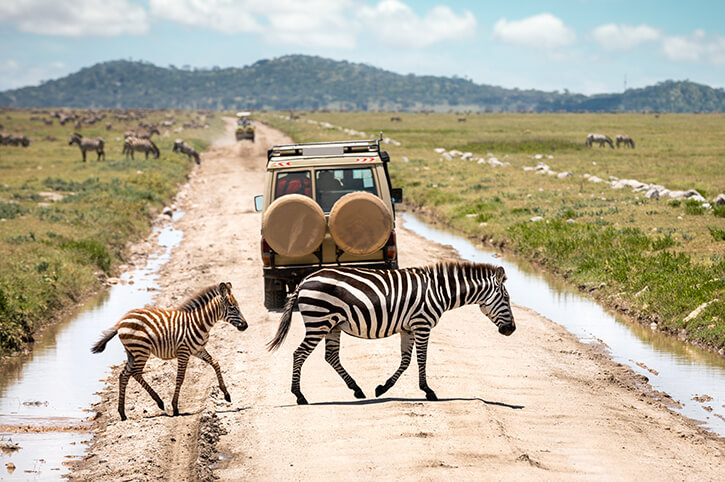 3 Days Serengeti National Park and Ngorongoro Crater