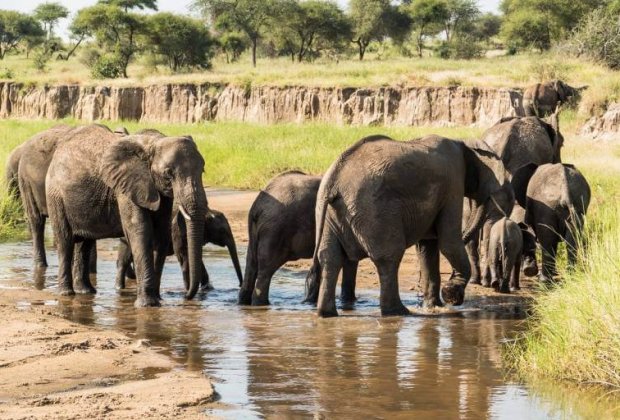 3-Days-Safari-to-Tarangire-Ngorongoro-and-Lake-Manyara