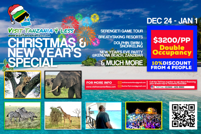 Spend Christmas in the Serengeti and NYE in Zanzibar