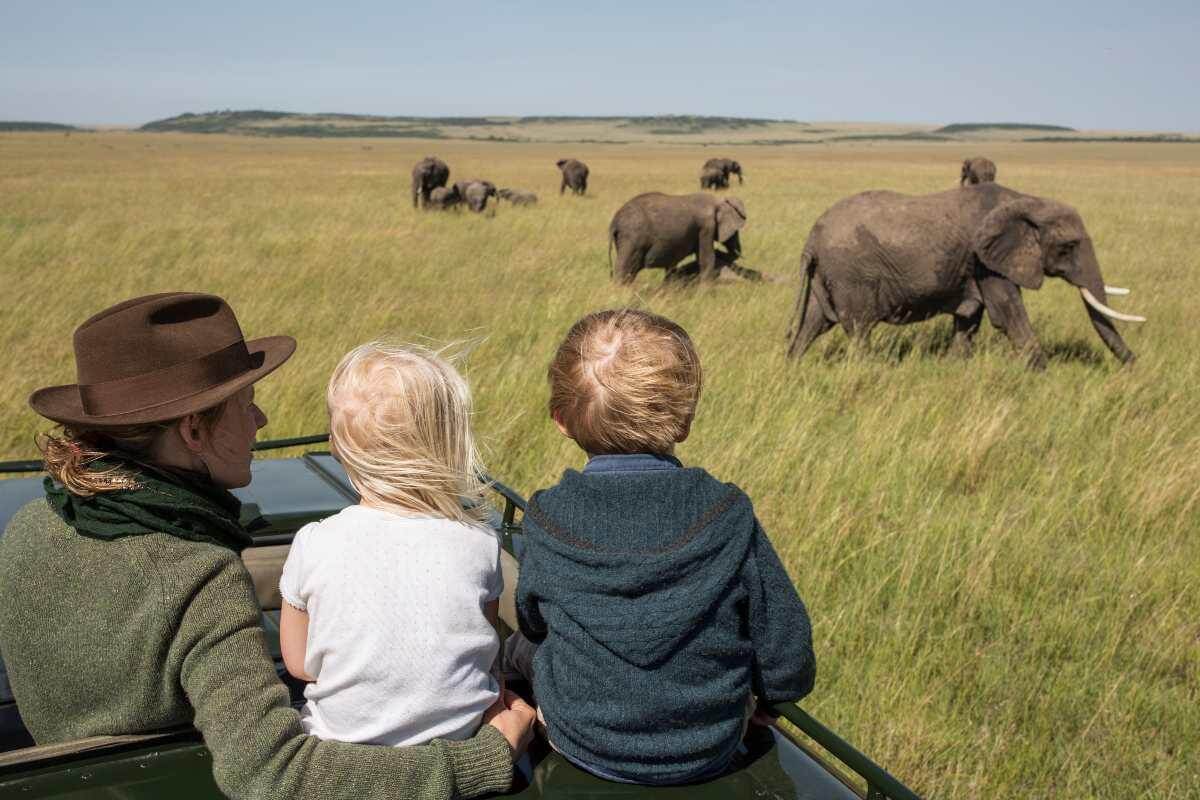 Discover 7 Affordable Safari Packages