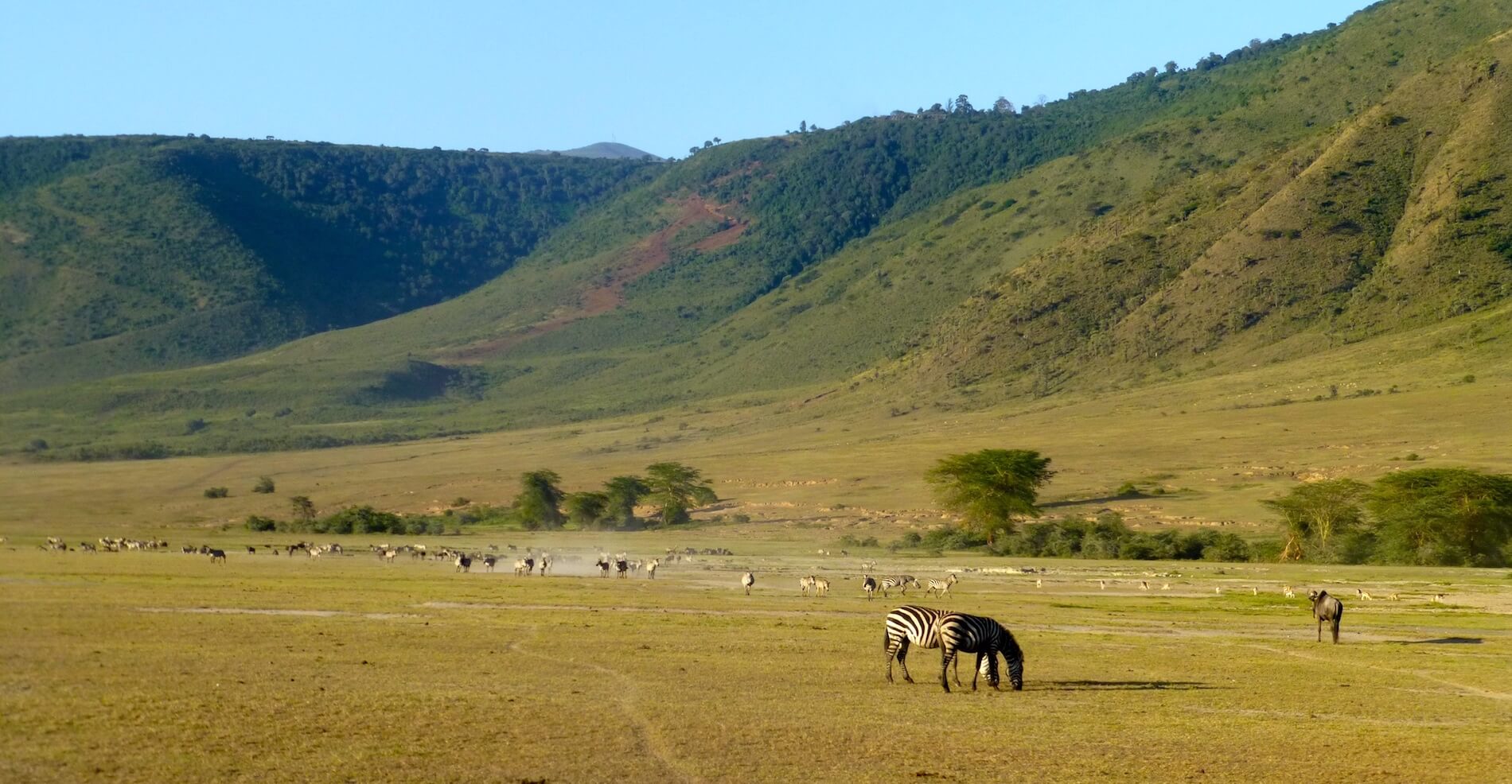 Ngorongoro Crater Welcome To Visit Tanzania Less Official Website