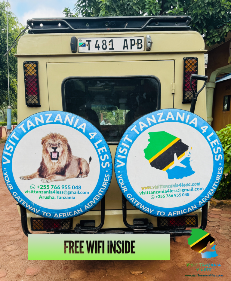 Stay Connected in the Wild: Free WiFi on Your Tanzanian Safari Adventure!