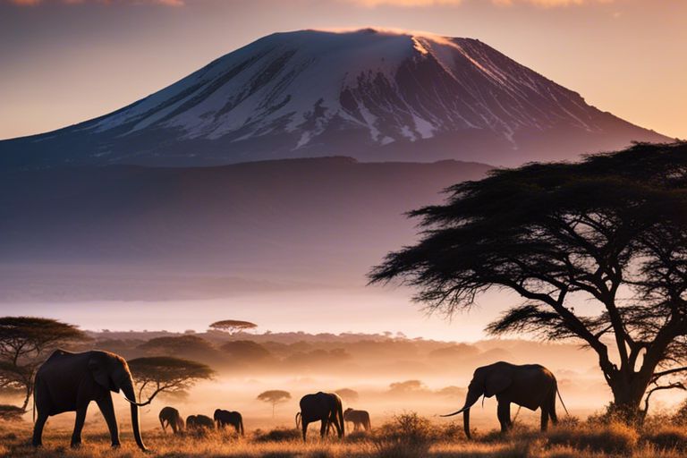 Why visiting Tanzania should be on your bucket list!