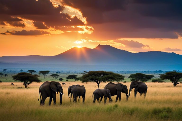 Hidden Gems - Affordable Adventures in Tanzania’s National Parks