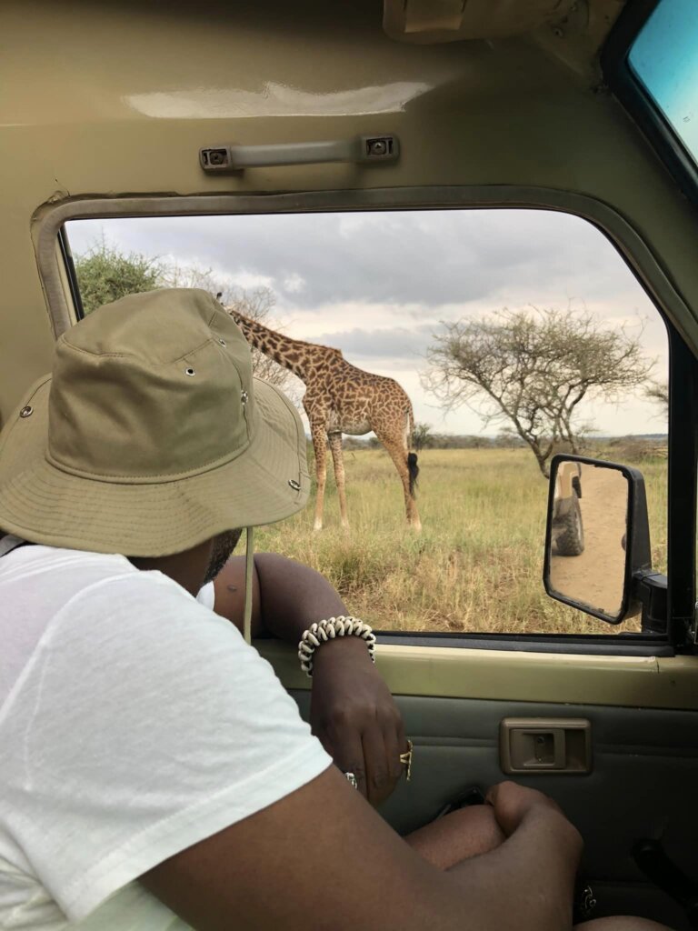 Unforgettable Safari