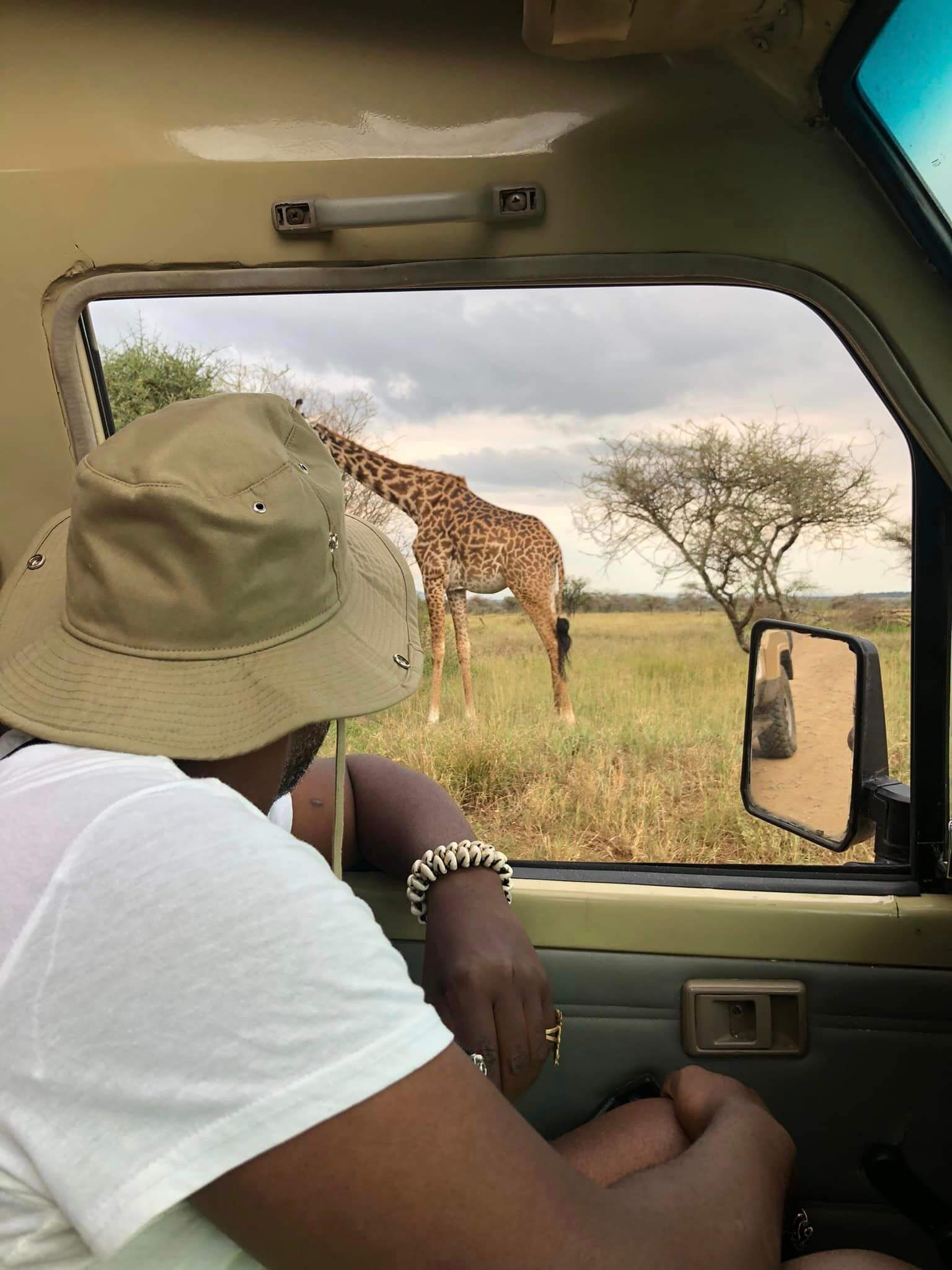 Unforgettable Safari