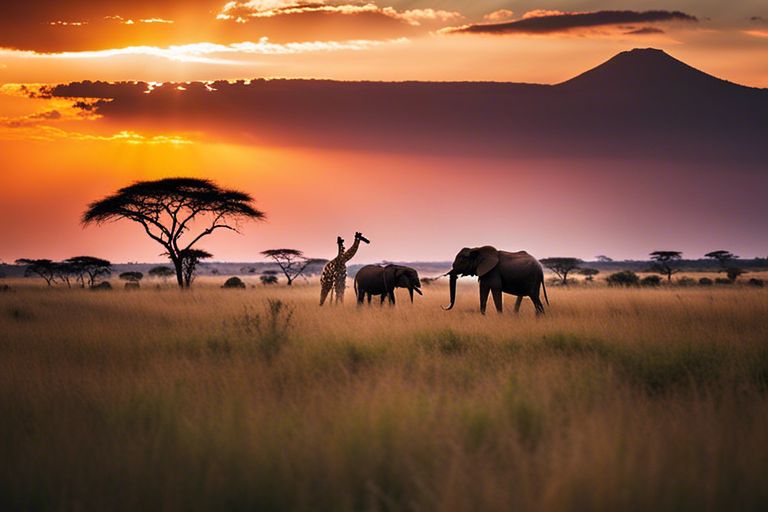 Affordable Safari Packages in Tanzania - Visit Tanzania 4 Less' Top Picks