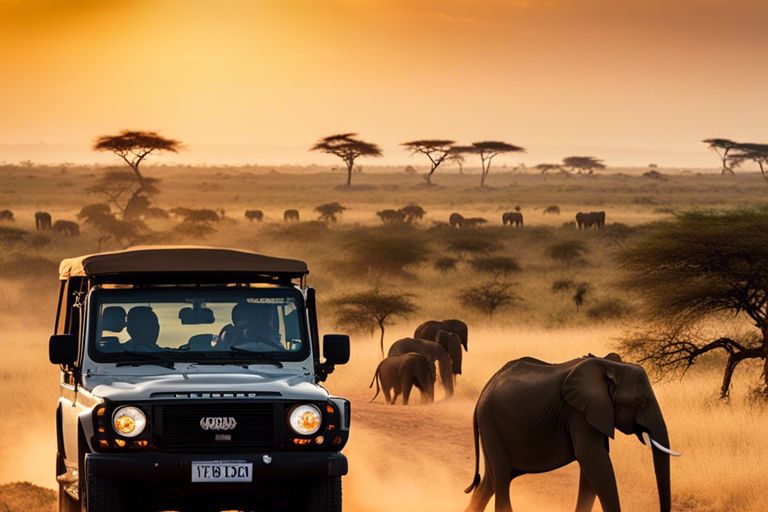 Cheap Safari Tours in Tanzania - Get the Best Deals with Visit Tanzania 4 Less