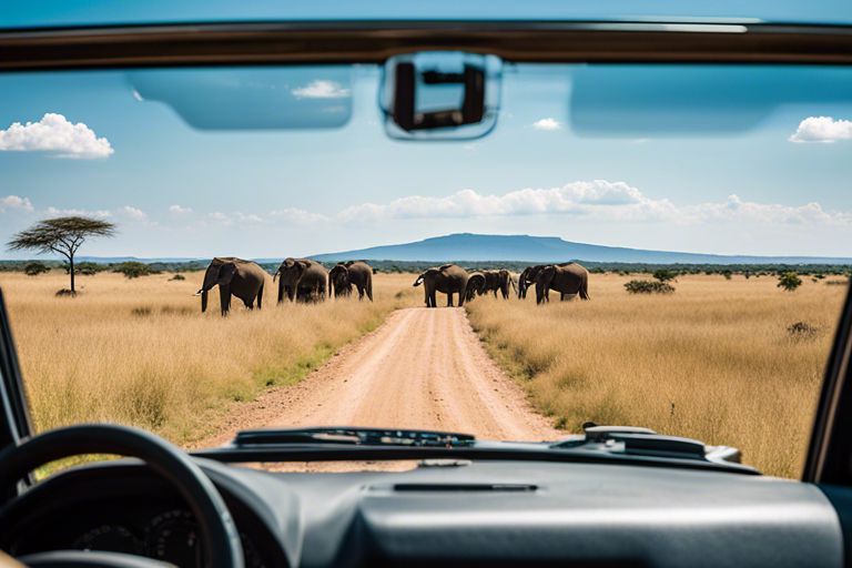 top 10 affordable safari tours in tanzania ois