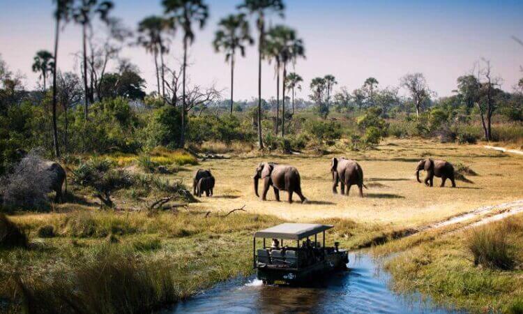 Game Drives in Tarangire National Parkss 750x450 2