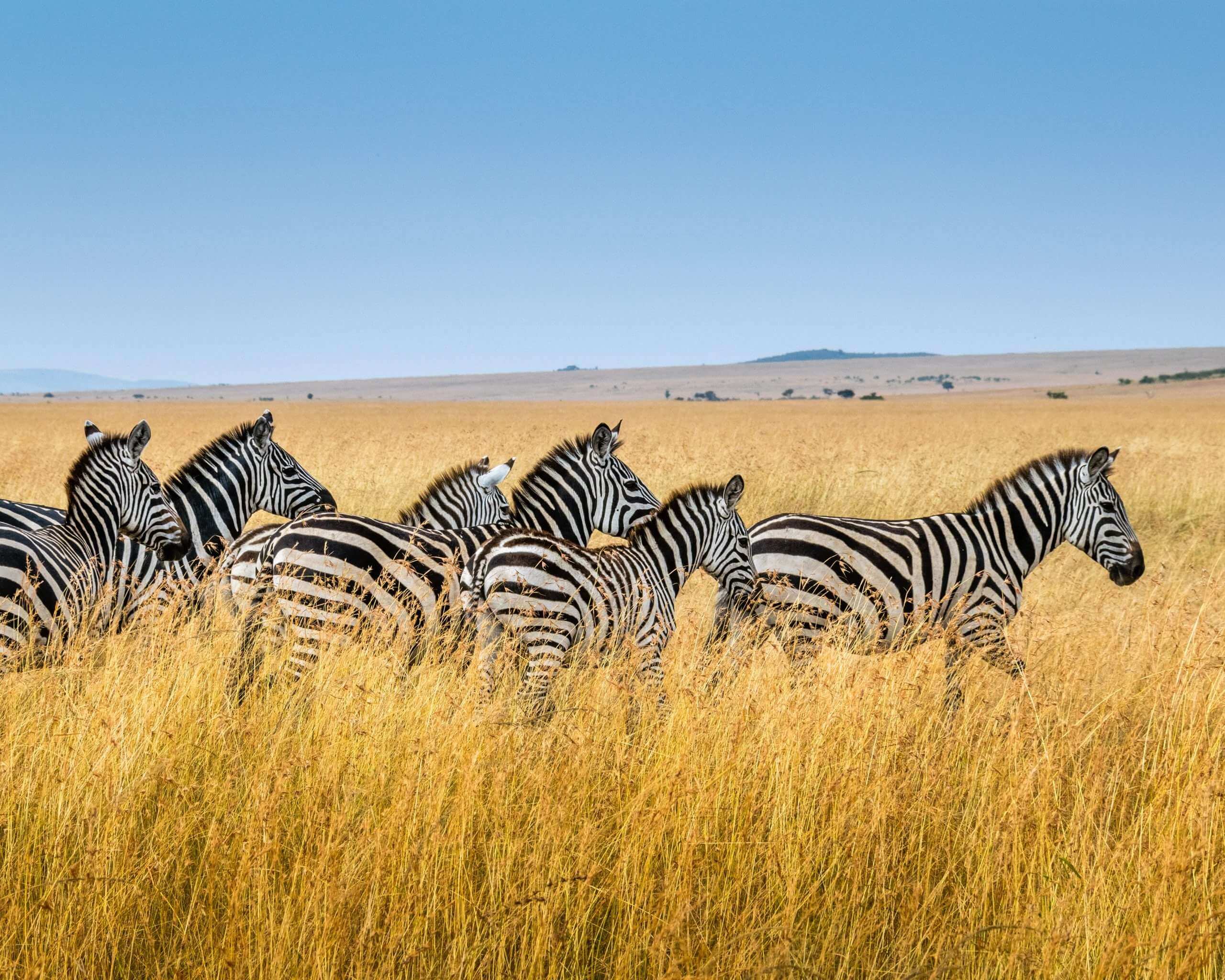 Ngorongoro Crater3 scaled 1