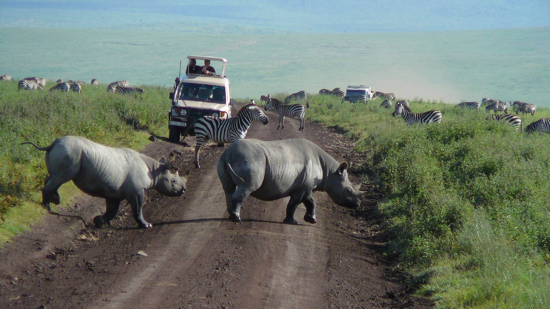 ngorongoro crater day trip