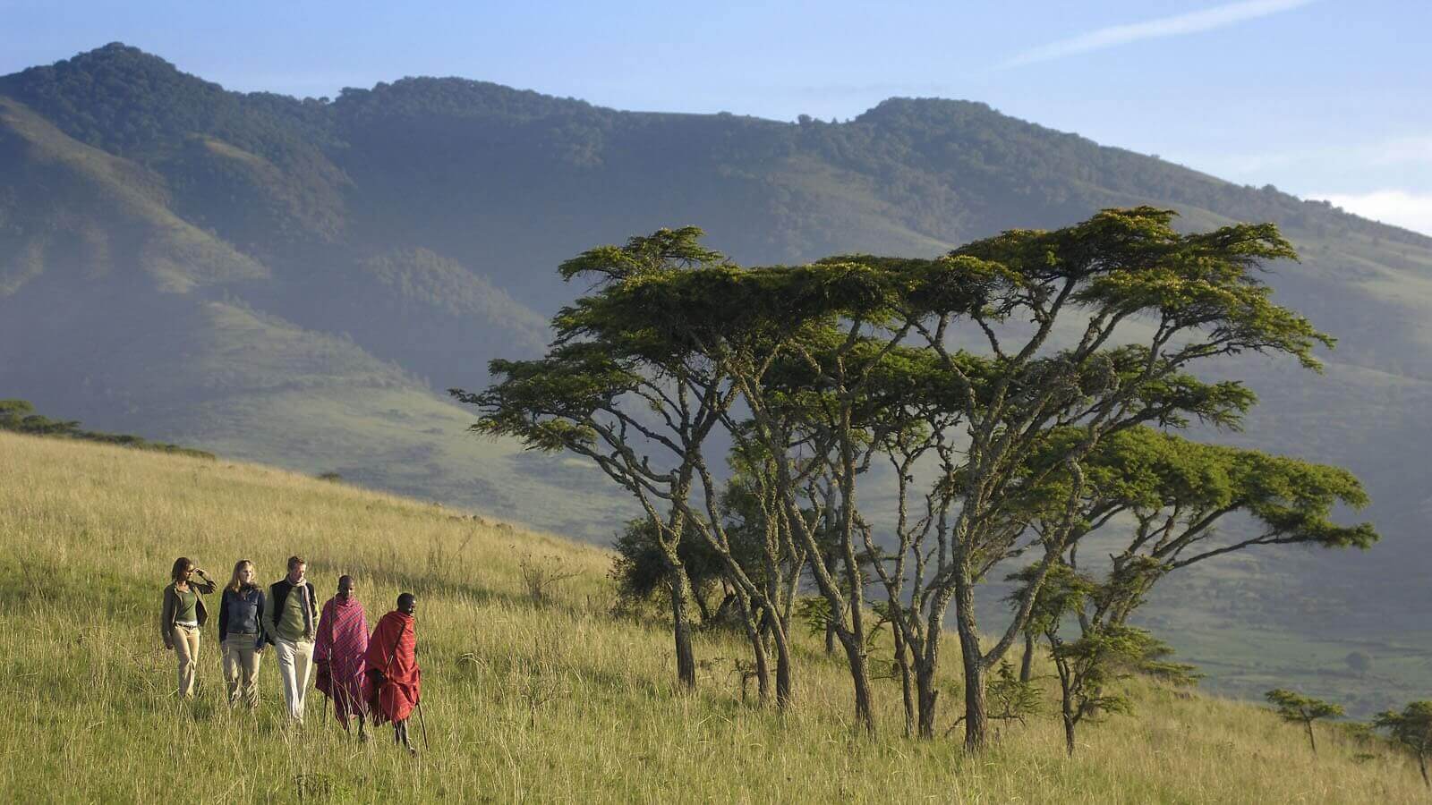 ngorongoro crater401195 320