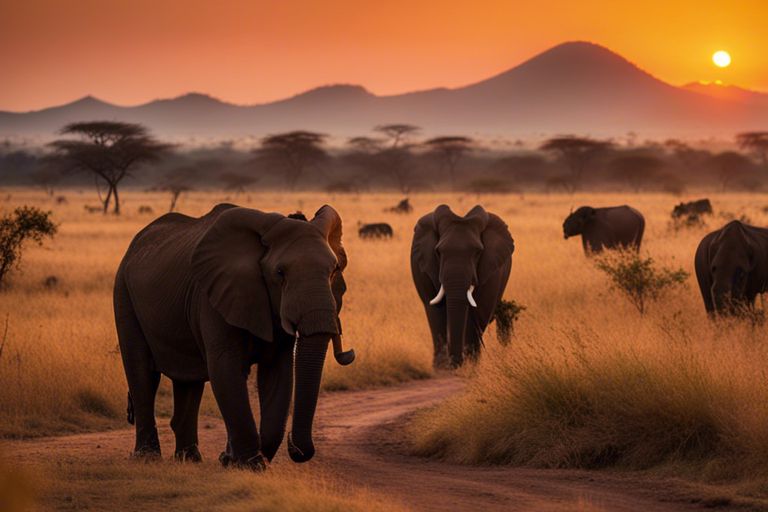 Affordable Ways to See the Big Five